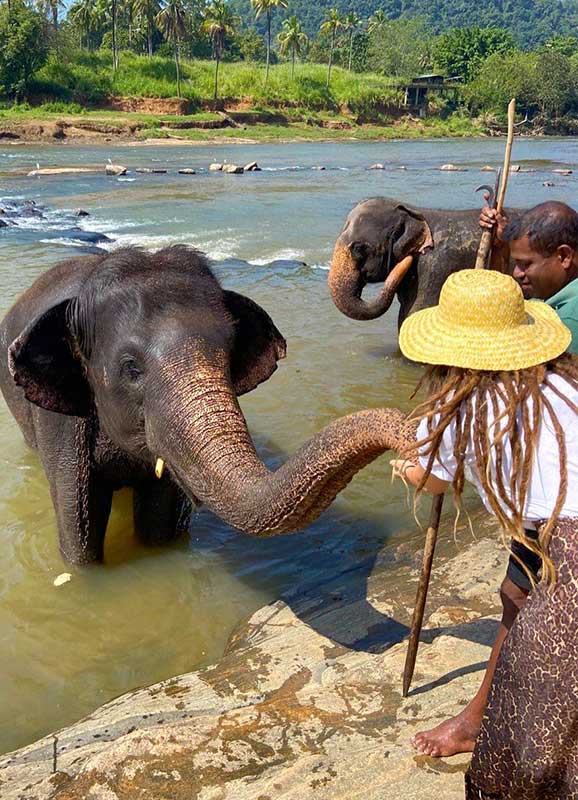 Sri Lanka Tailor Made tours and Private Tours